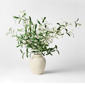 Threshold Designed With Studio McGee Olive Leaf Potted Arrangement